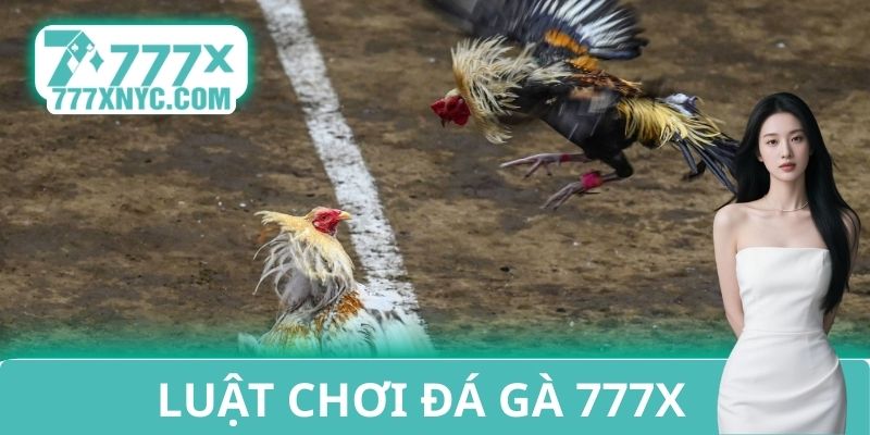 Luật chơi đá gà 777X
