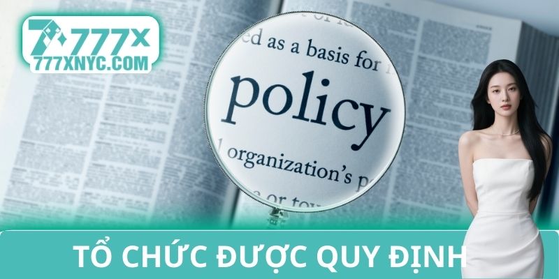 Tổ chức được quy định tại luật pháp cá cược VN